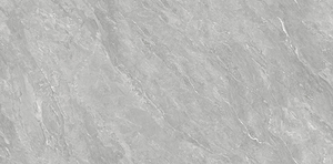 48Y09