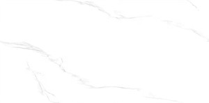 48Y01