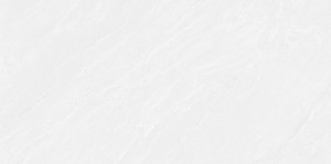 48Y06